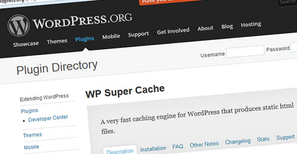 WP Super Cache